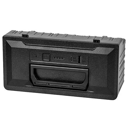 Acumulator Li-Ion 20800MAH Lada Frigorifica Teesa