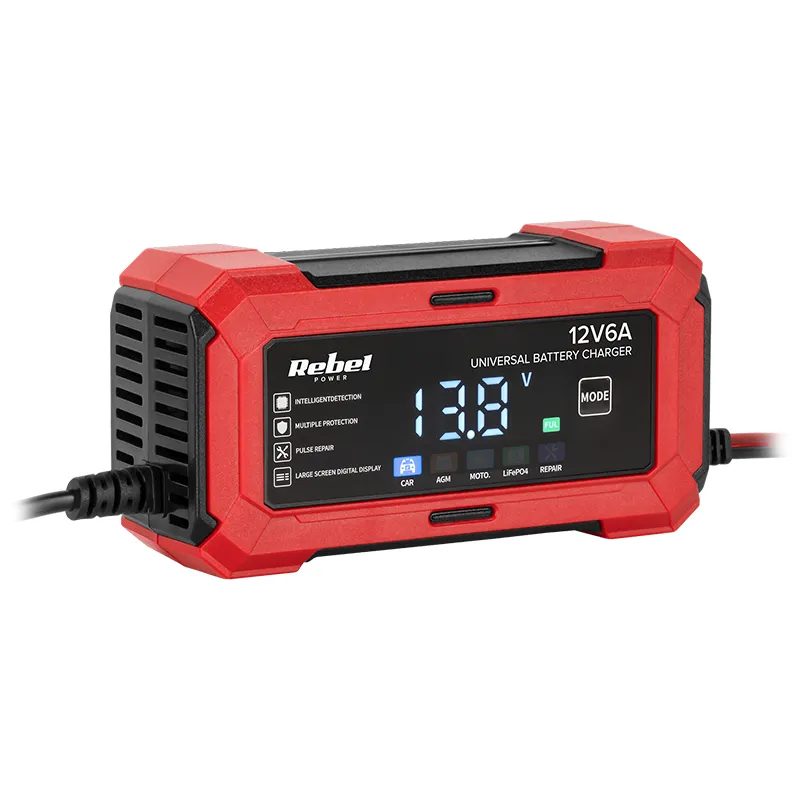 Incarcator Universal AGM LIFEPO4 2-100AH