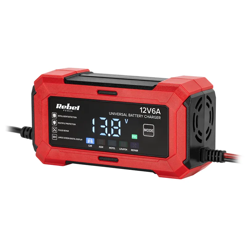 Incarcator Universal AGM LIFEPO4 2-100AH