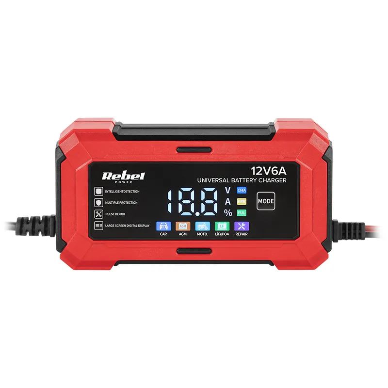Incarcator Universal AGM LIFEPO4 2-100AH