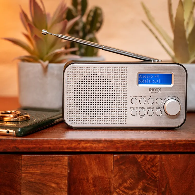 Radio cu Ceas FM, DAB, DAB+ CR 1179 Camry
