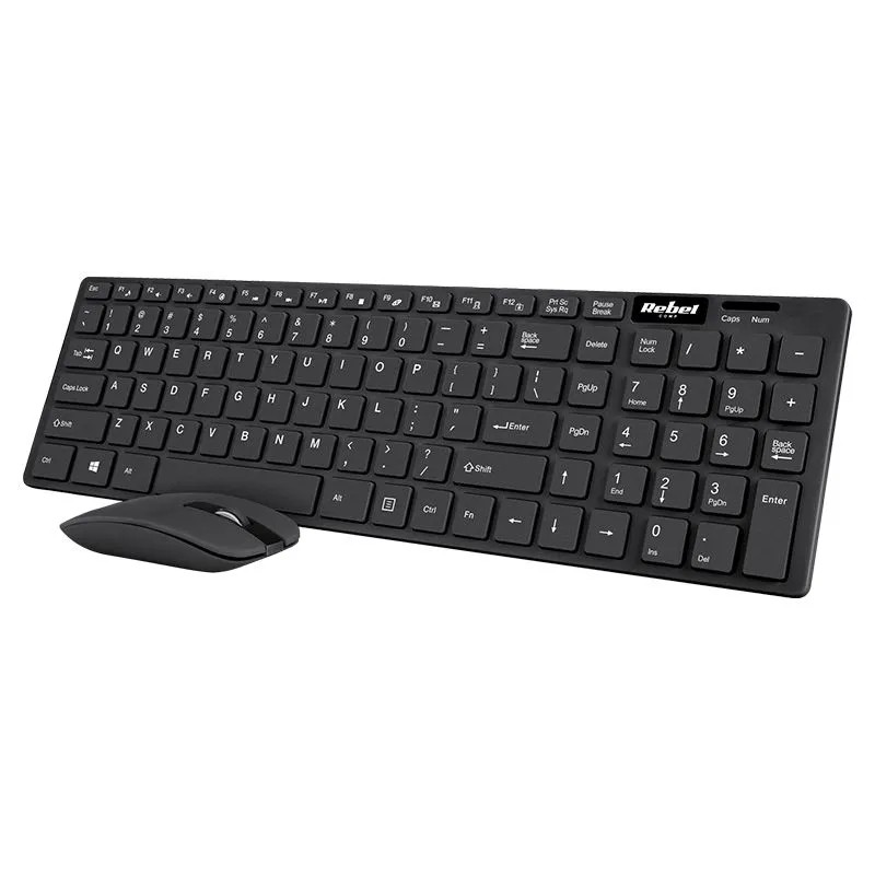 Kit Tastatura si Mouse Wireless  WS300 Rebel