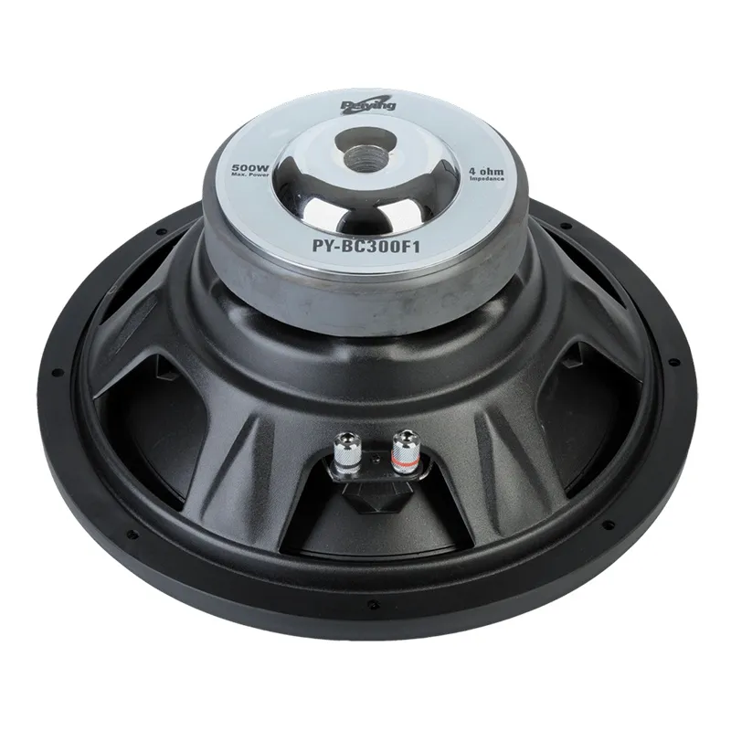 Subwoofer Auto 300MM 500W