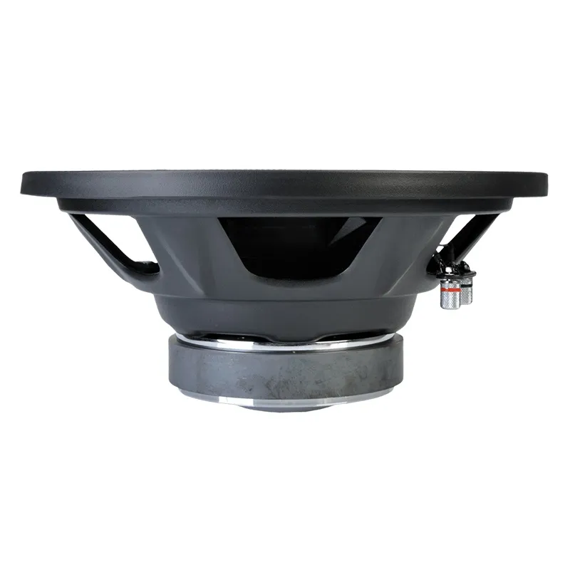 Subwoofer Auto 300MM 500W