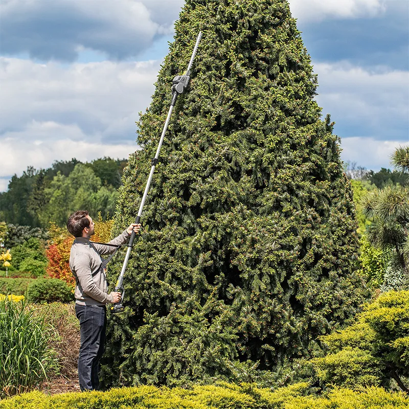Trimmer Gard Viu Telescopic + Drujba 20V fara Acc Rebel
