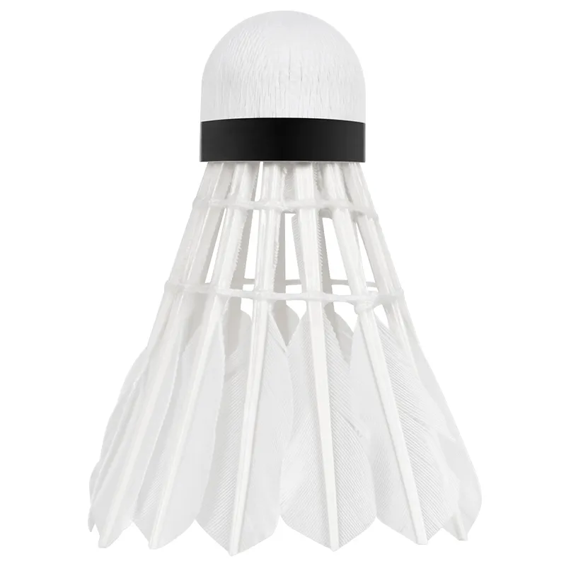 Set 6 Mingi Badminton Rebel Active