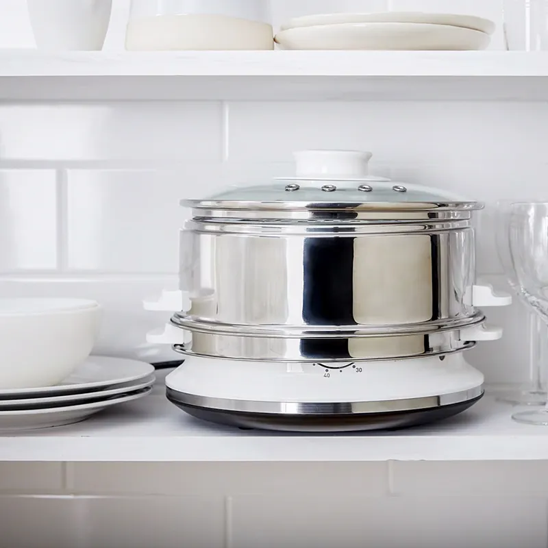 Aparat de Gatit cu Aburi 900W 6L Tefal