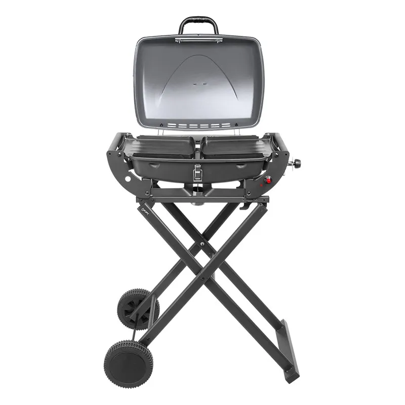 Grill Gaz Portabil / Pliabil Bbq-1000 Teesa
