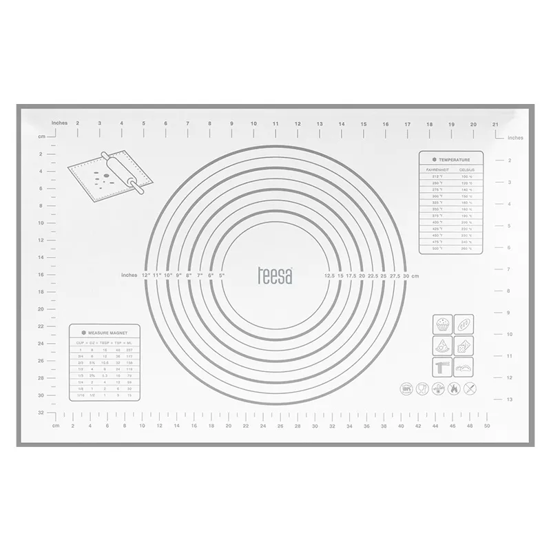 Placa Framantat si Sucitor Silicon Teesa