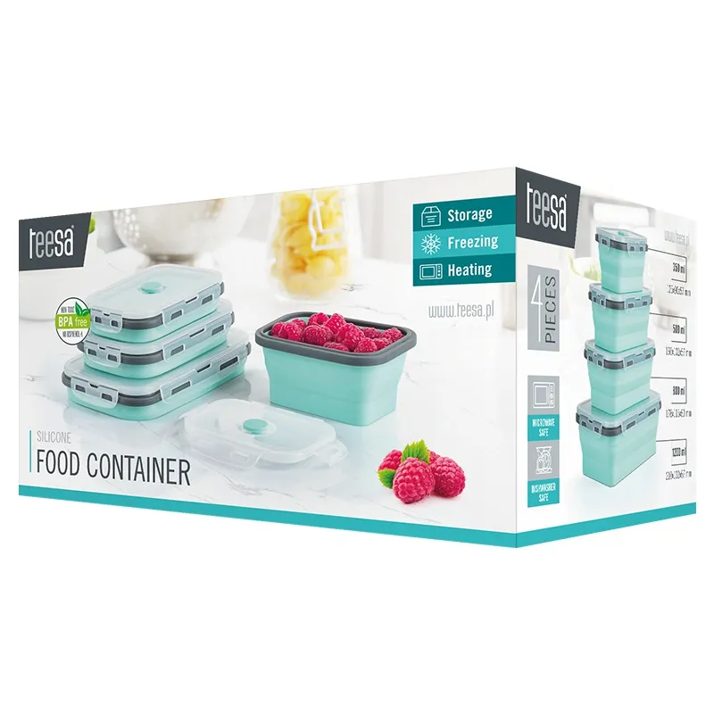 Set 4 Caserole Silicon Dreptunghiulare Teesa