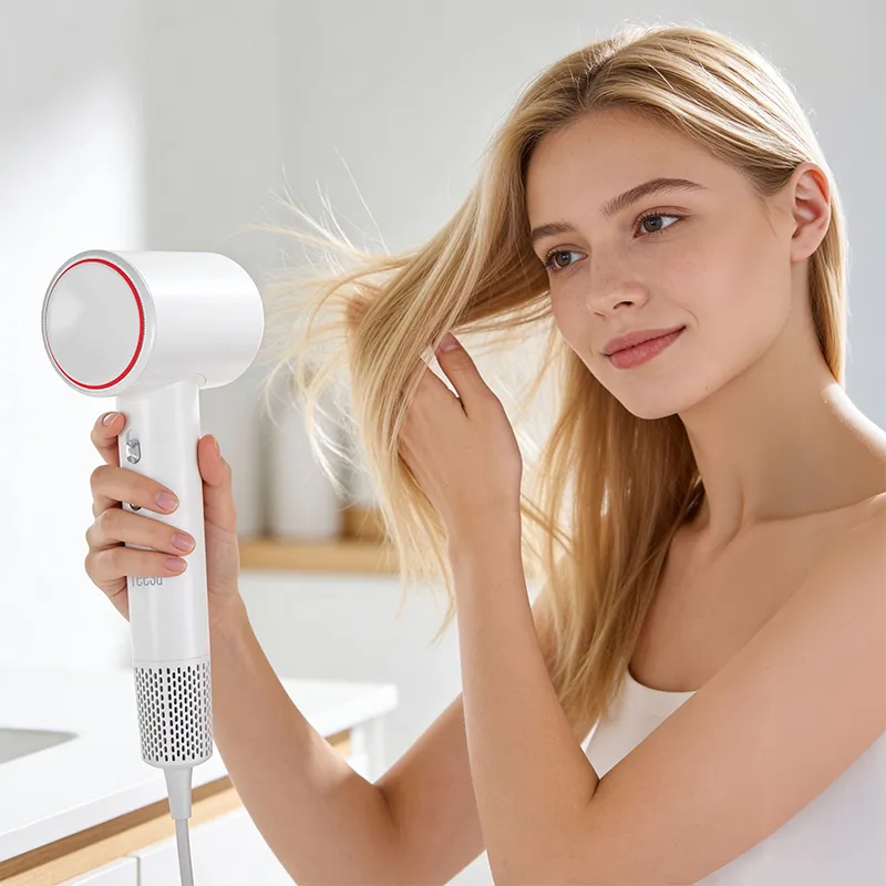 Uscator Par 1600W Pro Dry 700 Teesa