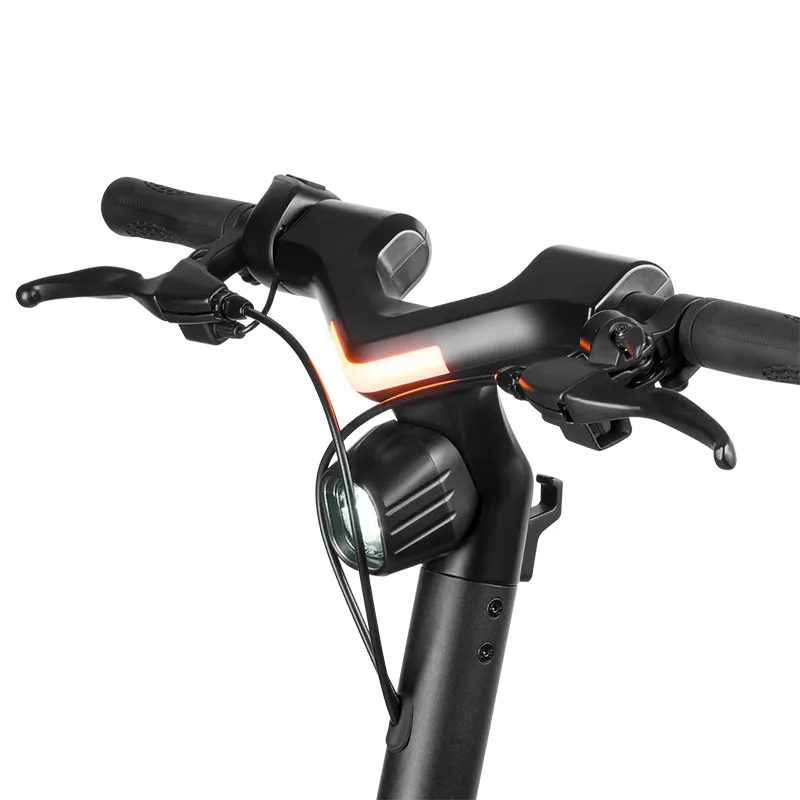 Trotineta Electrica Fast Wheels Max 350W Rebel